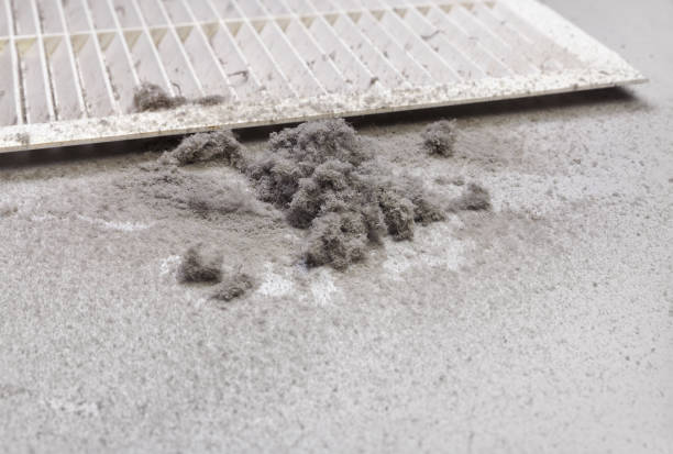 Best Affordable Duct Cleaning Services  in Holliday, TX