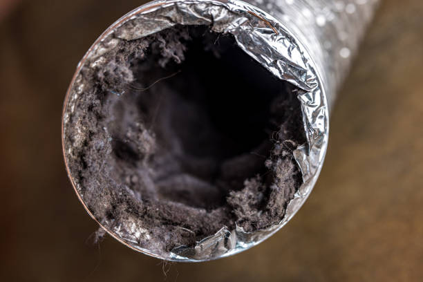 Best Air Duct Cleaning Near Me  in Holliday, TX