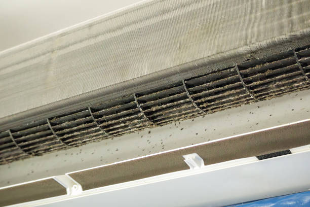Best HVAC Air Duct Cleaning  in Holliday, TX